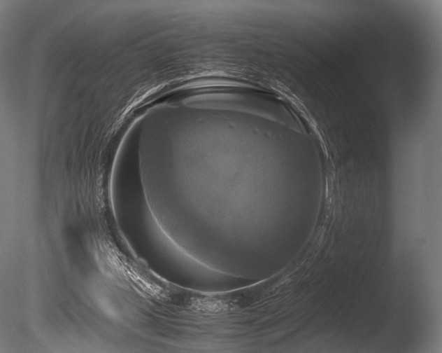 X0000086010249200703231219