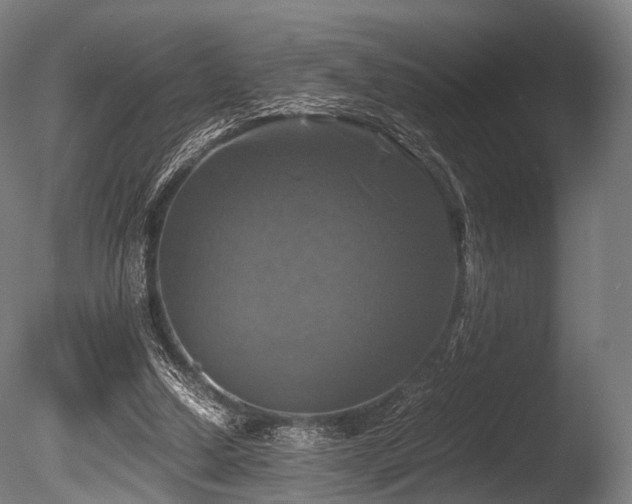 X0000086010250200703231219