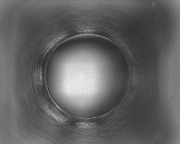 X0000086010251200703231219