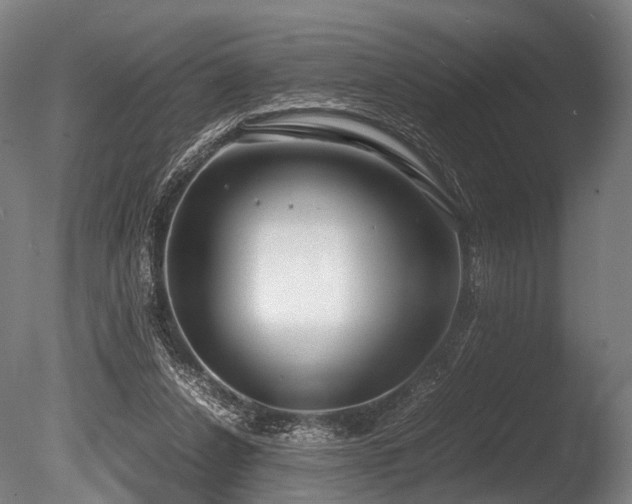 X0000086010256200703231219