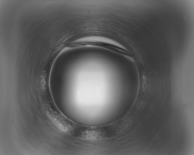 X0000086010259200703231219