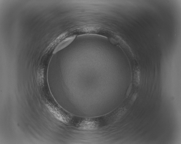 X0000086010260200703231219