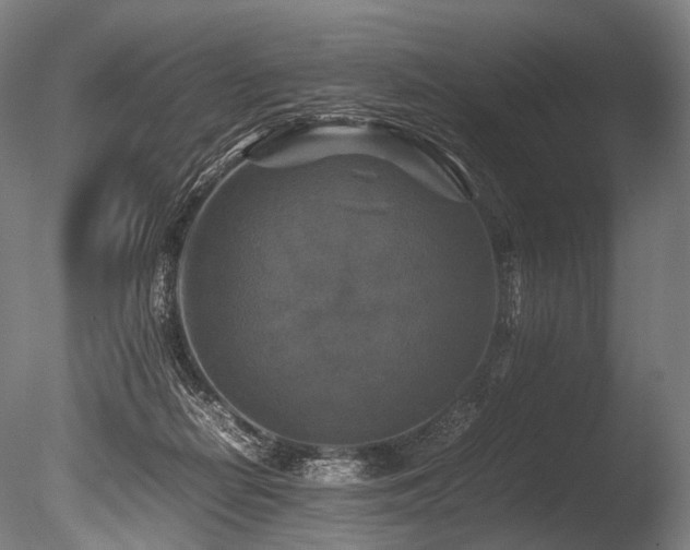 X0000086010266200703231220