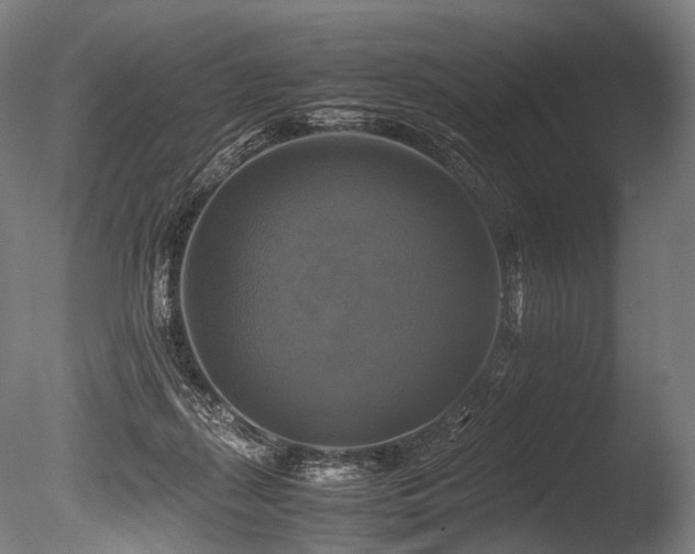 X0000086010267200703231220