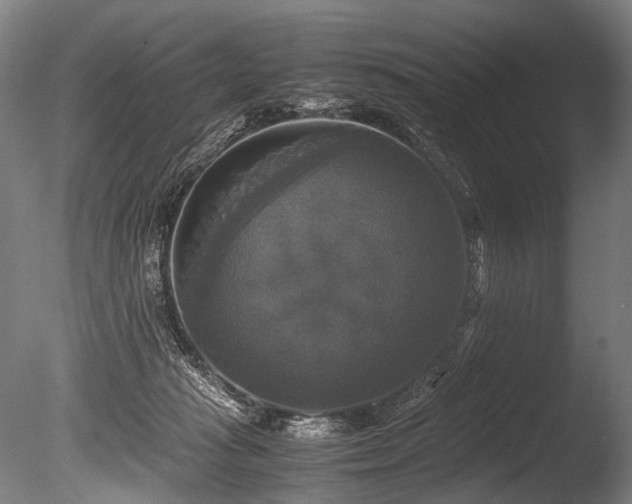 X0000086010269200703231220