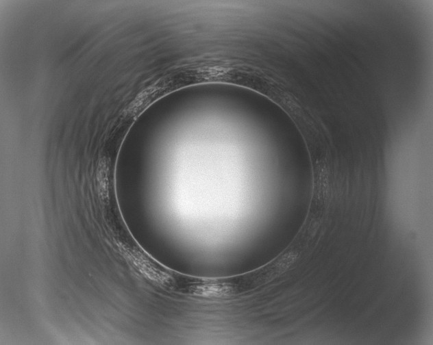 X0000086010274200703231220