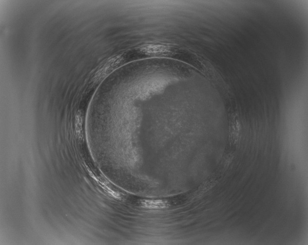 X0000086010281200703231220