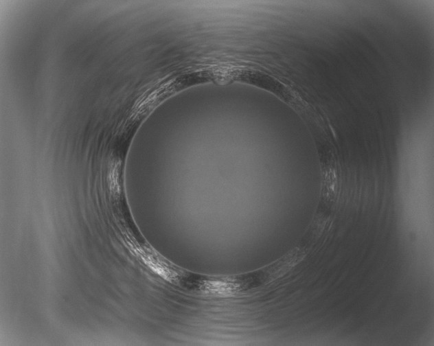 X0000086010286200703231220