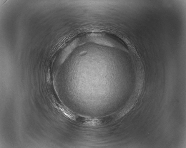 X0000086010288200703231220