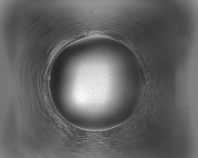 X0000086010289200703231219