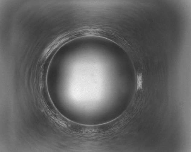 X0000086010291200703231219
