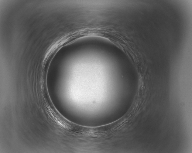 X0000086010293200703231219