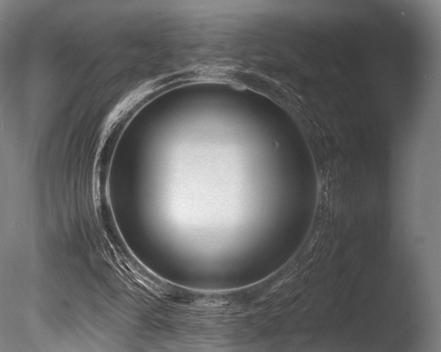 X0000086010294200703231219