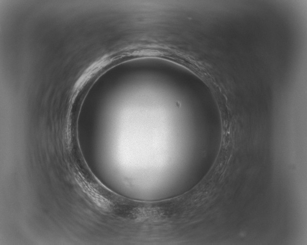 X0000086010296200703231219