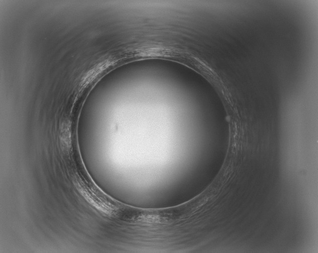 X0000086010298200703231219
