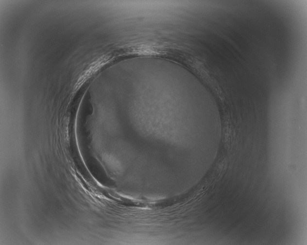 X0000086010299200703231219