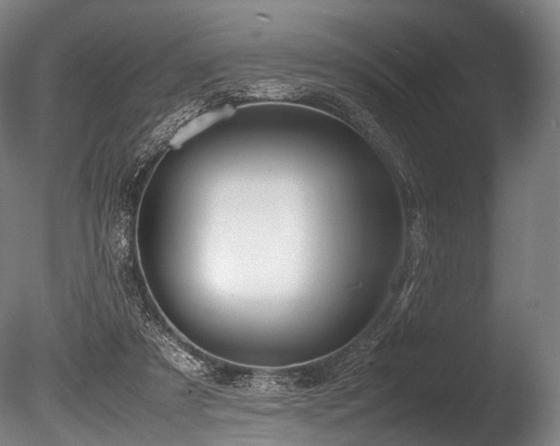 X0000086010305200703231219