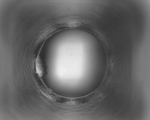 X0000086010307200703231219