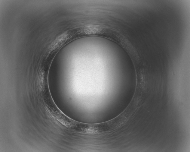 X0000086010308200703231219