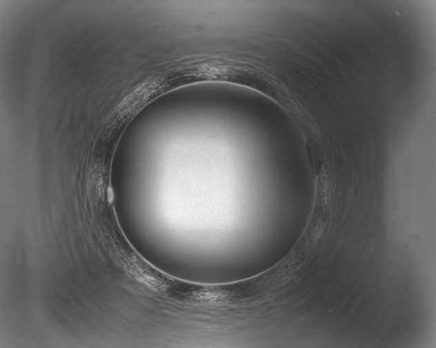 X0000086010313200703231219