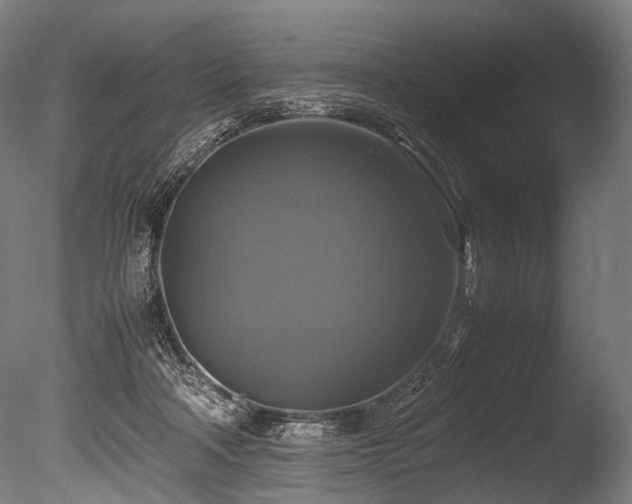 X0000086010314200703231219