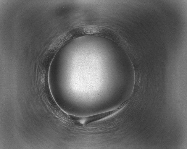 X0000086010315200703231219