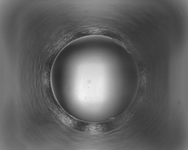 X0000086010317200703231219
