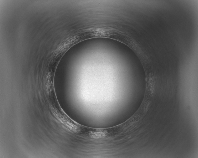 X0000086010318200703231219