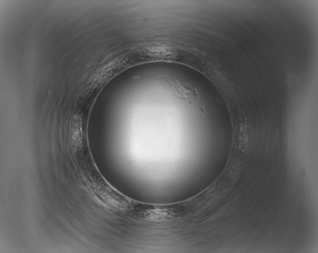 X0000086010320200703231219