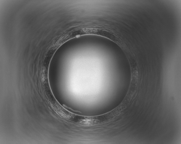 X0000086010323200703231218