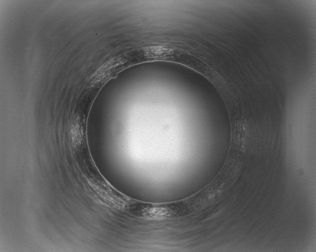 X0000086010324200703231218