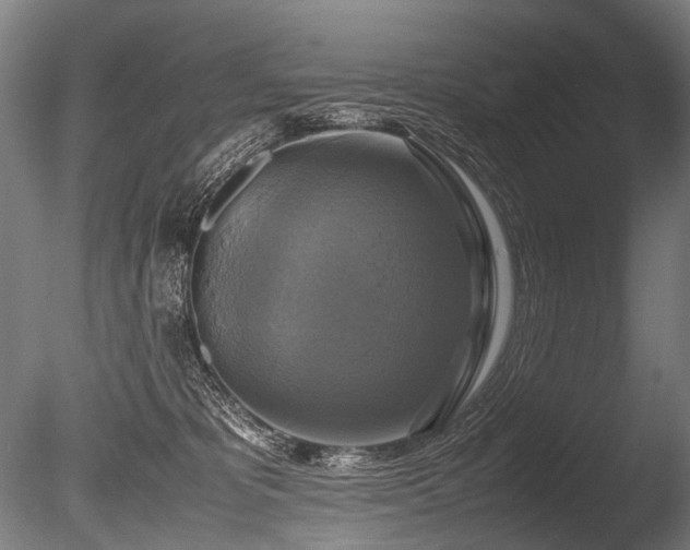 X0000086010325200703231218