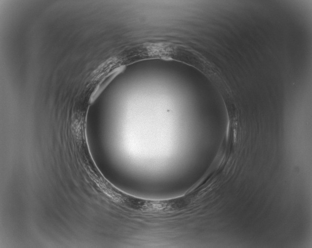 X0000086010329200703231218