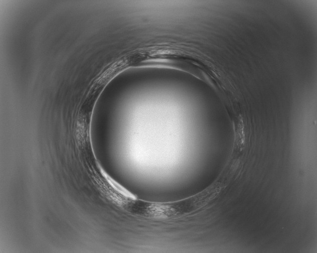 X0000086010333200703231218