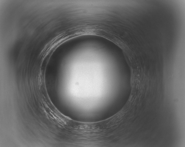 X0000086010338200703231217