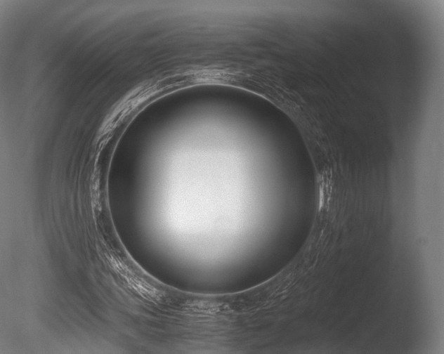 X0000086010339200703231217