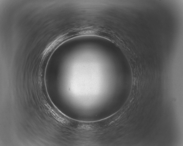 X0000086010341200703231217