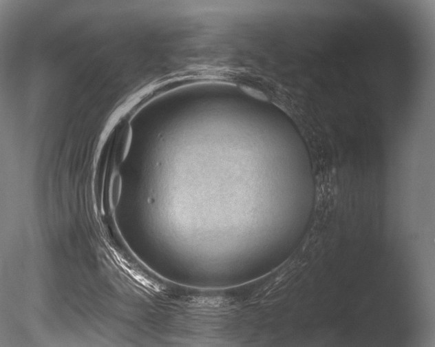 X0000086010342200703231218