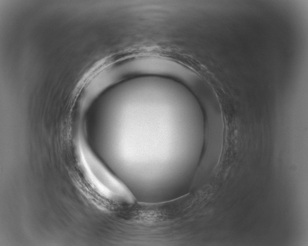X0000086010344200703231218