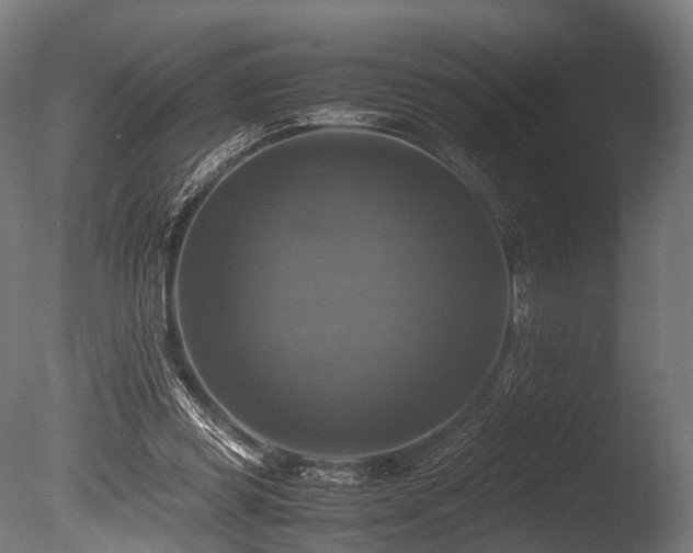 X0000086010349200703231218
