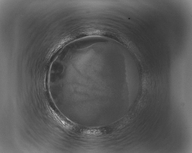X0000086010353200703231218