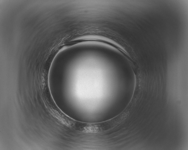X0000086010362200703231218