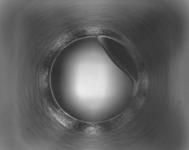 X0000086010364200703231218