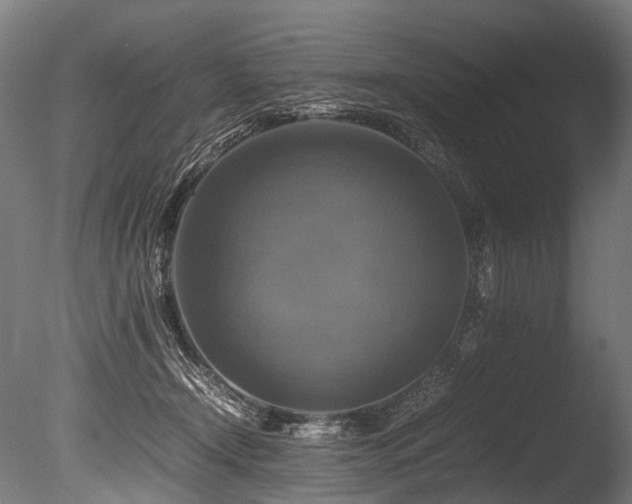 X0000086010366200703231218