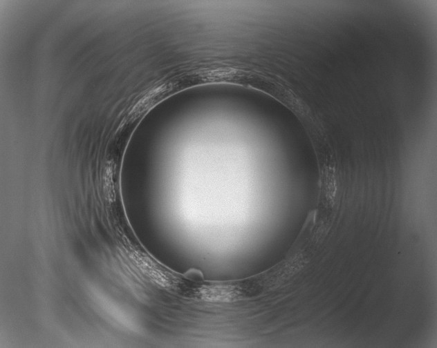 X0000086010378200703231218