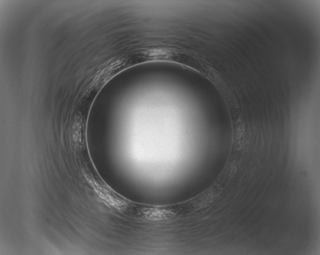 X0000086010379200703231218