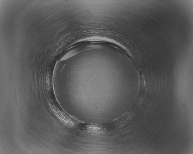 X0000086010380200703231218