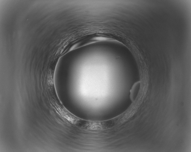 X0000086010384200703231218