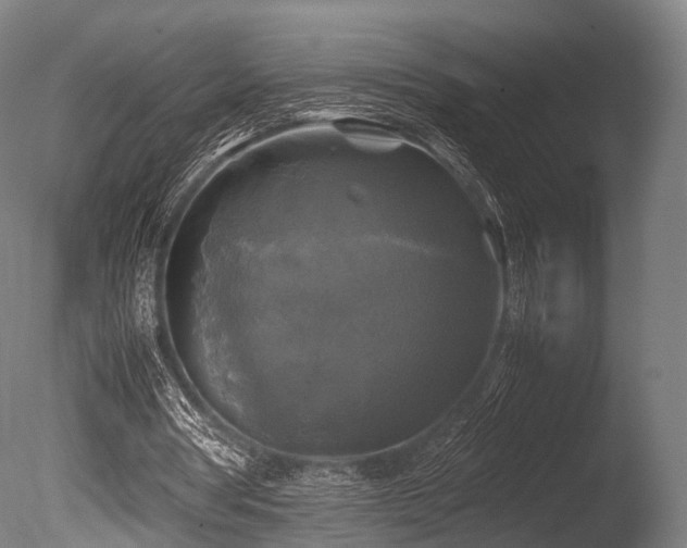 X0000086010386200703231217