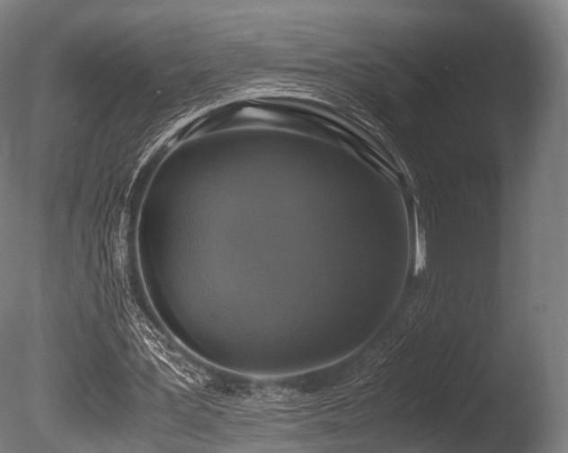 X0000086010387200703231217